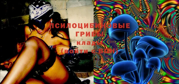 первитин Богородицк