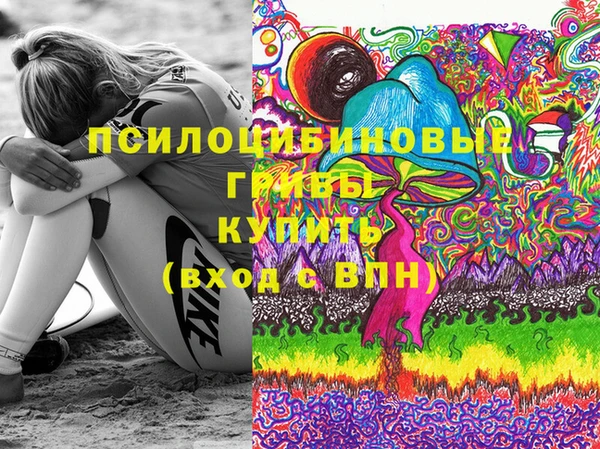 Альфа ПВП Богородск
