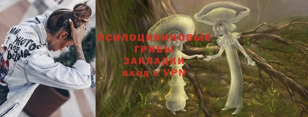 Альфа ПВП Богородск