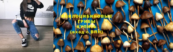Альфа ПВП Богородск