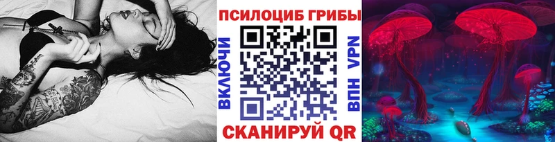 KRAKEN сайт Светлый Галлюциногенные грибы Psilocybe